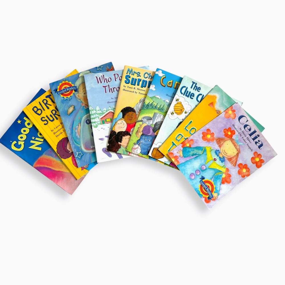 Houghton Mifflin Leveled Readers Book Lot of 9 Early Reader Kids Books